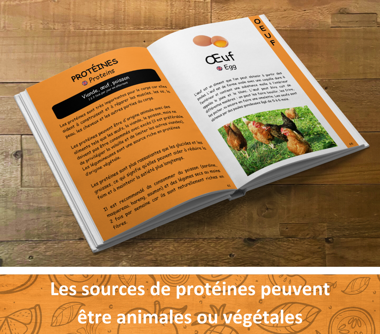 Le livret éducatif