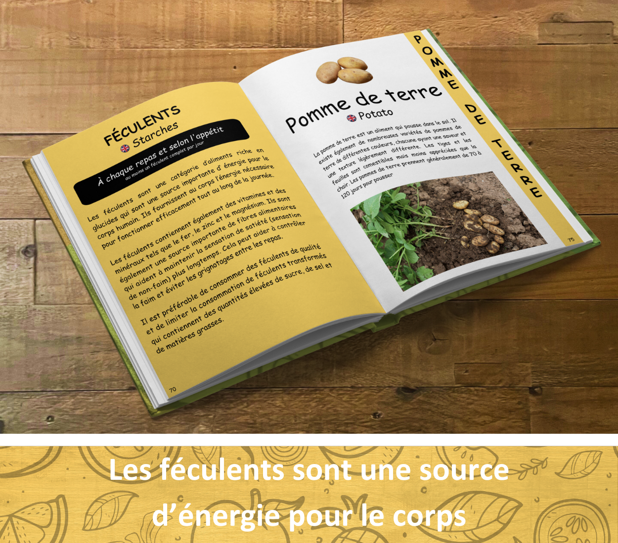 Le livret éducatif